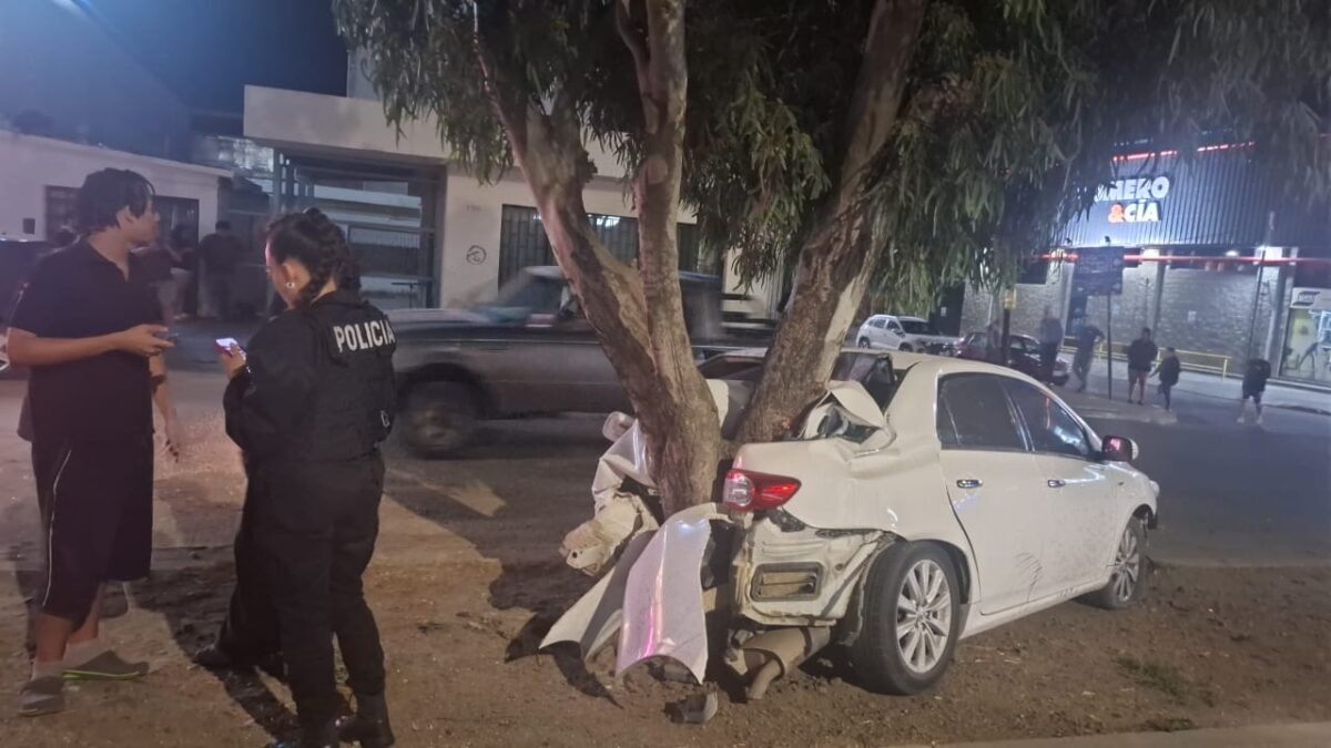 Choque en Yrigoyen: esquivó moto y terminó contra un árbol