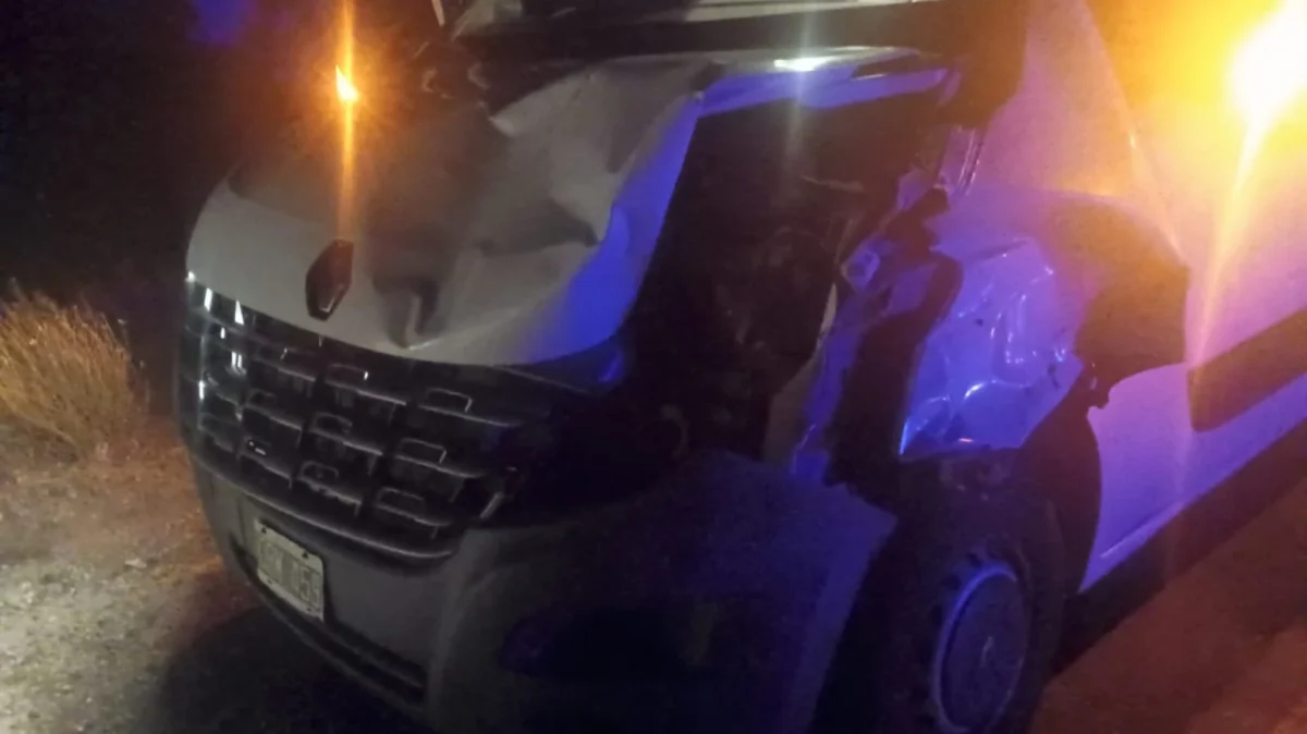 Accidente en Ruta 3: madrugada, niebla y un caballo en la cinta asfáltica